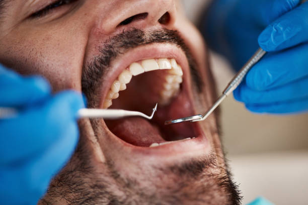 Best Orthodontic Emergency Dentist in New Beaver, PA